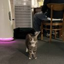 (주)라임게임즈 이미지