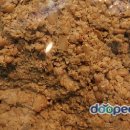 카맨샵 영등점 이미지