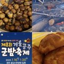 공주 가볼만한 곳 겨울 공주군밤축제 방문 후기