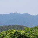 창원 주의수 묘 이미지