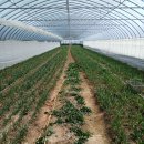 운대1리 이미지