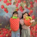 효경농장 이미지