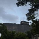 그랜드 하얏트 서울 테라스 / 내돈내산 후기 / “The Terrace at Grand Hyatt Seoul” 도심 속 힐링