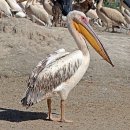 화이트 빌 이미지