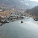 섬진강봄소식 이미지