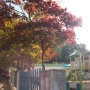 대전대화초등학교 이미지