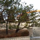 소나무회관 이미지