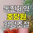 (주)동진제약 | 동진제약 호당원 가격, 효능, 식후 혈당 조절 및 바나나잎 추출물 상세 정보