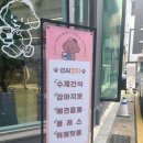 섭씨코지 이미지