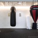 플렉스 복싱 PT 이미지