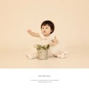 예지패키지