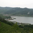 영천다원 티스토리
