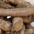 연세사랑의원 이미지