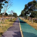 정의골 교차로 3 네이버블로그