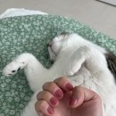 네일윰 - 동구 수정중로 28 | 용암동 네일윰 방문후기
