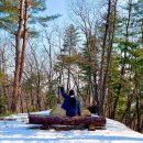 국립유명산자연휴양림 | 가평 겨울 가볼만한곳 국립 유명산 자연휴양림 숙박후기 예약