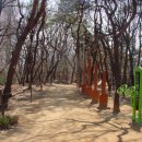 예수사랑교회 앞 버스정류장 이미지