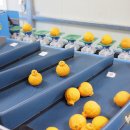 맛조아농장 이미지