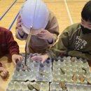 천의초등학교 이미지