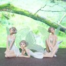 화이트 페어리 이미지