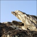 [붓다기행] 14. 라즈기르 Ⅳ - 영산 정토에 올라 붓다를 회상하다 이미지