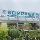 집들이화분선물 평택꽃집 정다운묘목농원 후기