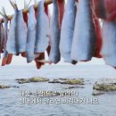 청어식당 티스토리