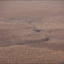 순천만의 추억 이미지