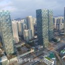 삼성2지하차도배수펌프장 | [세계로컬타임즈] 매립지 기반에 태풍·해수면 상승 인한 침수피해 가능성 ↑