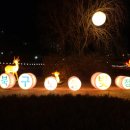 노을빛 정원 이미지