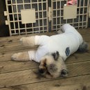 여기서 놀개 이미지