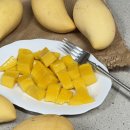 미암농장 이미지