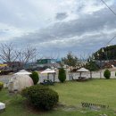 사랑애견펜션 이미지