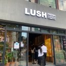 러쉬 (Lush)
