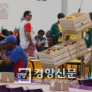 경향식당 경향신문