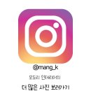 모도리인테리어 이미지