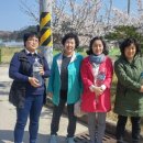 묘곡경로당 이미지