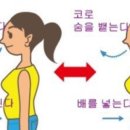 늘필라테스 - 춘천시 우두1길 87 | 늘필라테스