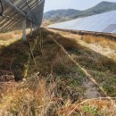 초록 태양광발전소 이미지