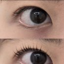 씨유(CU)학익대동점 | [판암 속눈썹펌] 강쥐가 귀엽구, 속눈썹이 짱짱해요 르아