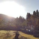 (주)제주현대렌트카 네이버블로그