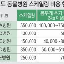포포동물병원 이미지