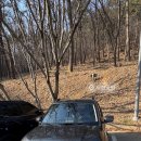 달구지주유소 이미지