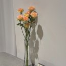 아마도르 | 춘천 레스토랑 추천, 기념일에 가기좋은 춘천데이트맛집 르몽라셰 내돈내산 후기