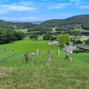 충남 논산 노성면 병사리산1-3 파평윤씨 윤돈 묘역(윤대통령 선조 묘) 이미지