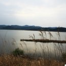 우포늪생태공원 이미지