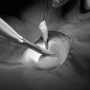 카우만 동물병원 이미지