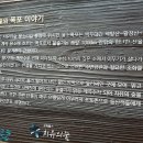 삼척활기자연휴양림 이미지