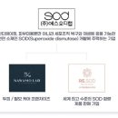 (주)에스닷 이미지