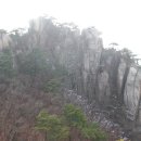 에덴동산 이미지